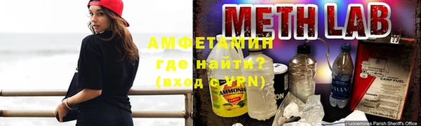 мдпв Вяземский