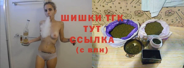 гидра Осинники