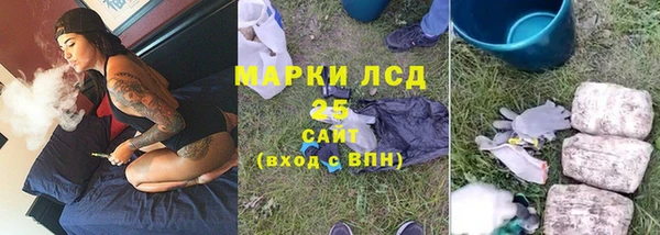 ПСИЛОЦИБИНОВЫЕ ГРИБЫ Аша