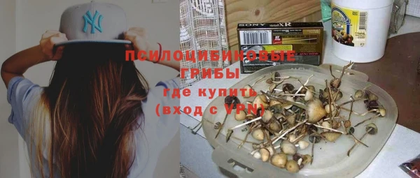 гидра Осинники