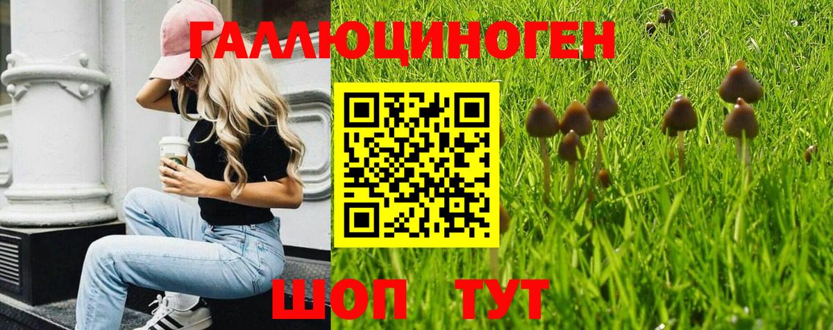 Псилоцибиновые грибы GOLDEN TEACHER  Псилоцибиновые грибы Magic Shrooms  дарнет шоп  Алексин 